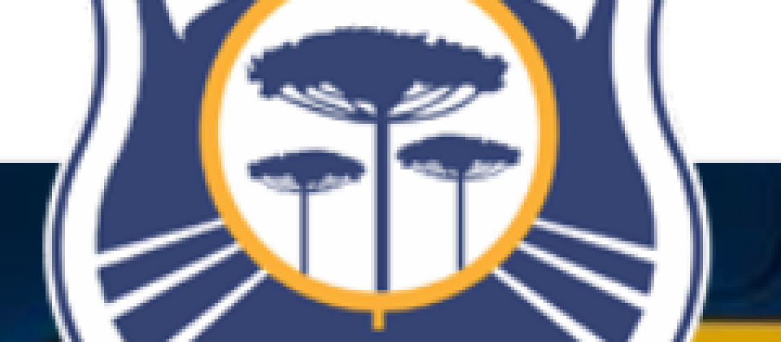 1-PostBlog-PRFemAcao